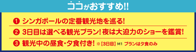  ココがおすすめ！！