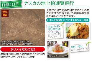日程2日目 ナスカの地上絵遊覧飛行