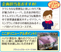 企画担当者おすすめ！こだわりポイント