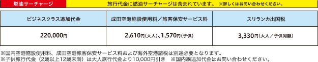 燃油サーチャージ、その他料金